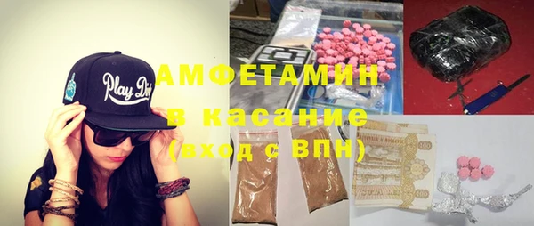 индика Бронницы