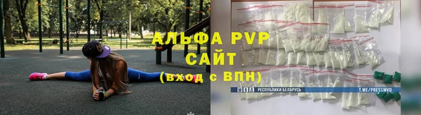 МДПВ Бородино