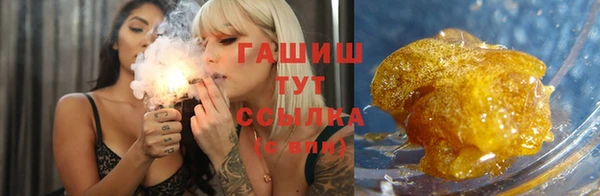индика Бронницы