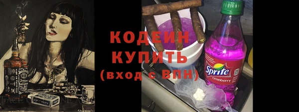 индика Бронницы