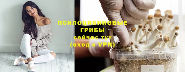 мескалин Бугульма