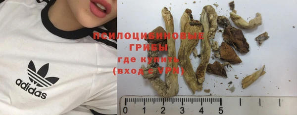 молекула духа Верхний Тагил