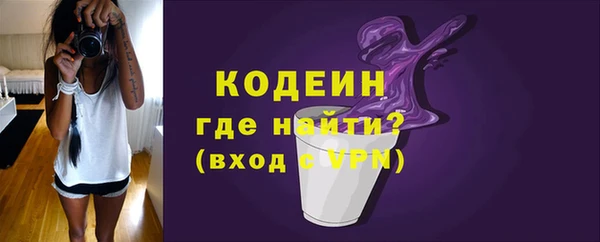 индика Бронницы