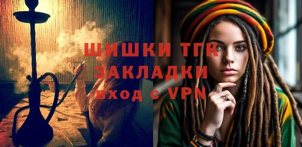 МДПВ Бородино