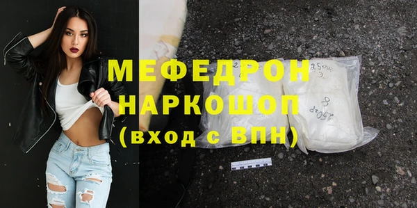 МДПВ Бородино