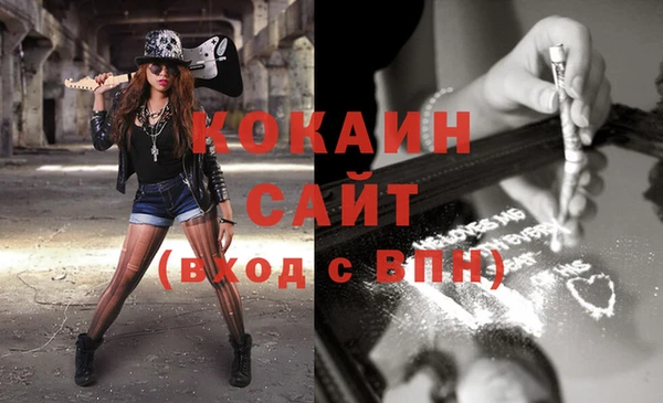 индика Бронницы
