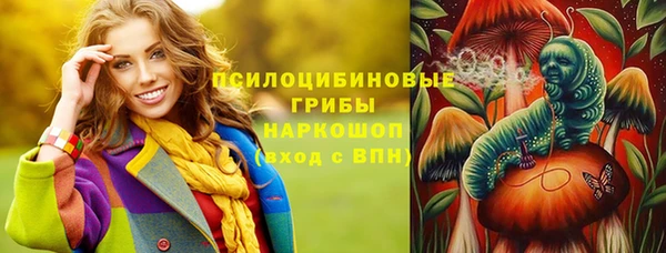 МДПВ Бородино