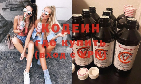 МДПВ Бородино