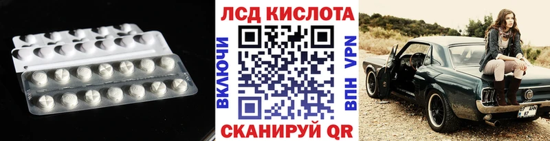 Купить закладки  Новоржев  ЛСД экстази ecstasy 