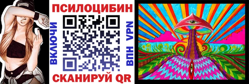 Галлюциногенные грибы Psilocybe  Купить закладки  Новоржев 