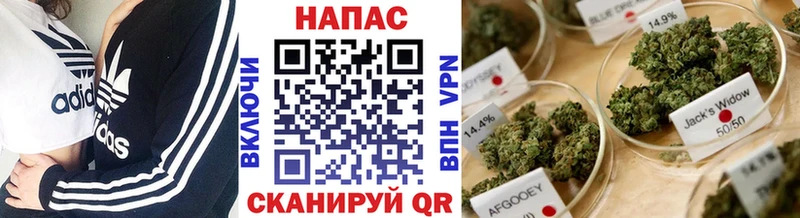 Бошки Шишки конопля  Купить где  Новоржев 